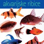 Akvarijske ribice